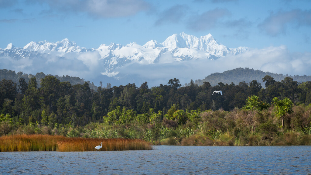 Layers of water, reeds, and trees lead to the towering Mt Cook in the background on a sunny day in New Zealand.